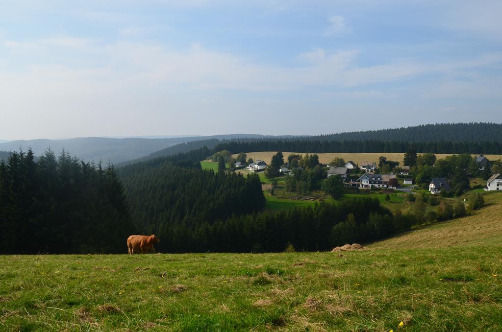 Berggasthof Zur Glocke Winterberg Dış mekan fotoğraf